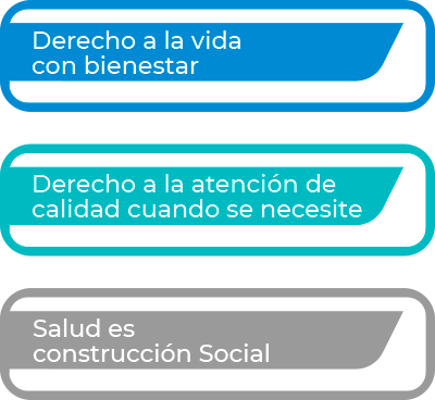 Imevi